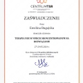 Powiększ obraz: certificate 4