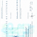 Powiększ obraz: certificate 8