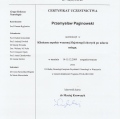 Powiększ obraz: certificate 25