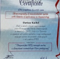 Powiększ obraz: certificate 5