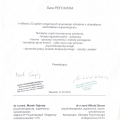 Powiększ obraz: certificate 9