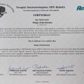 Powiększ obraz: certificate 1