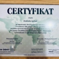 Powiększ obraz: certificate 1