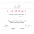 Powiększ obraz: certificate 2