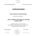 Powiększ obraz: certificate 7