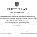 Powiększ obraz: certificate 9