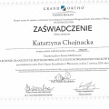 Powiększ obraz: certificate 3