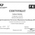 Powiększ obraz: certificate 4