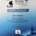 Powiększ obraz: certificate 10