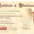 Powiększ obraz: certificate 7