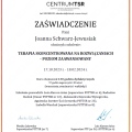 Powiększ obraz: certificate 2