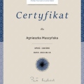 Powiększ obraz: certificate 1