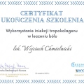 Powiększ obraz: certificate 4