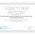 Powiększ obraz: certificate 2
