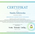 Powiększ obraz: certificate 4