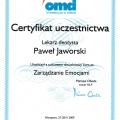 Powiększ obraz: certificate 9