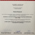 Powiększ obraz: certificate 1