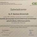 Powiększ obraz: certificate 4