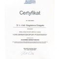 Powiększ obraz: certificate 4