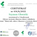 Powiększ obraz: certificate 3