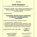 Powiększ obraz: certificate 20