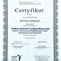 Powiększ obraz: certificate 17