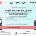 Powiększ obraz: certificate 3