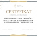 Powiększ obraz: certificate 99