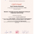 Powiększ obraz: certificate 6