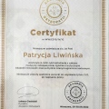 Powiększ obraz: certificate 1