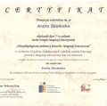 Powiększ obraz: certificate 30
