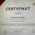Powiększ obraz: certificate 10