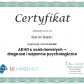Powiększ obraz: certificate 11