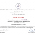 Powiększ obraz: certificate 20