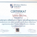 Powiększ obraz: certificate 4