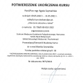 Powiększ obraz: certificate 3