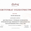 Powiększ obraz: certificate 8
