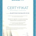 Powiększ obraz: certificate 1