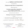 Powiększ obraz: certificate 6