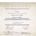 Powiększ obraz: certificate 11