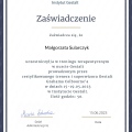 Powiększ obraz: certificate 1