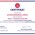 Powiększ obraz: certificate 1
