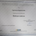 Powiększ obraz: certificate 11