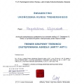 Powiększ obraz: certificate 3