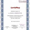 Powiększ obraz: certificate 10