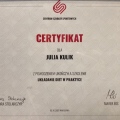Powiększ obraz: certificate 4