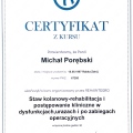Powiększ obraz: certificate 6