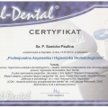 Powiększ obraz: certificate 10
