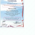 Powiększ obraz: certificate 3
