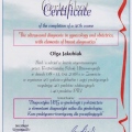 Powiększ obraz: certificate 9